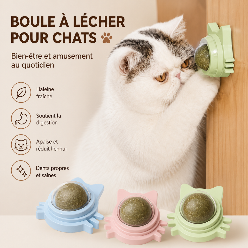 Jouet pour Chat Herbe à Chat Naturelle Balle Rotative Murale