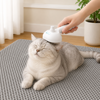 Upgraded Pet Spray Grooming Comb Steamy Floating Hair Removal Cleaning Steam Brush Styling for Dogs Cats Accessories