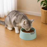 Pet Bowl INS Wind Strawberry Tableware Anti overturning Cat Food Dog Food Bowl Drinking Water Cat Food Bowl