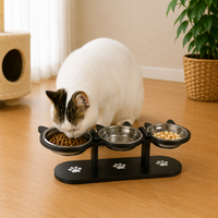 Elevated Cat Food Bowl with Black Wooden Support Frame Stainless Steel Cats Bowls 15° Stand Sloped Feeding & Watering Supplies