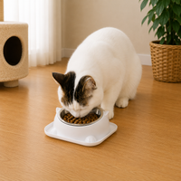 Cat Fun Shaped Anti Tipping Bowl with Added Water To Prevent Ants