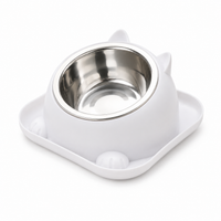 Cat Fun Shaped Anti Tipping Bowl with Added Water To Prevent Ants