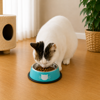 Cat Food Bowl Stainless Steel Kitten Cat Feeder Water Bowl With Non-Slip Rubber Base Small Pet Bowl Cat Accessories Pet Supplies