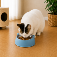 1pc Elevated Stainless Steel Cat Bowl, Inclined Food & Water Dish with Cute Ear Stand, Neck Protection Design for Cats