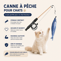 Jouet pour Chat Canne à Pêche Télescopique Poisson