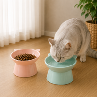Tilted Cat Food Bowl Elevated Cat Bowl Ergonomic Cat Food Dish Anti Vomiting Raised Cat Food Bowl Non Slip for Cats Dogs