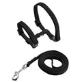 Cheap Sphynx Cat Harness and Leash Set Convenient Pet Harnesses for Cats Gotas Katten mascotas Accessories Outdoor Kedi Cat Lead