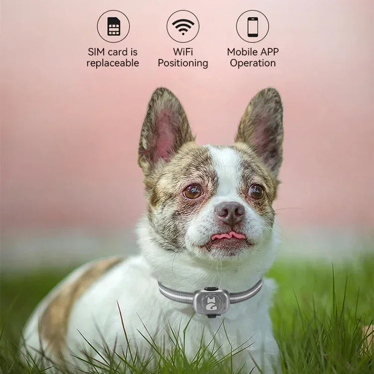 Smart Mini Gps Tracker for Dogs Waterproof Anti-Lost Gps for Cats Pet Alarm Two-way Call Tracking Locator Collar Dog Accessories