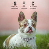 Smart Mini Gps Tracker for Dogs Waterproof Anti-Lost Gps for Cats Pet Alarm Two-way Call Tracking Locator Collar Dog Accessories