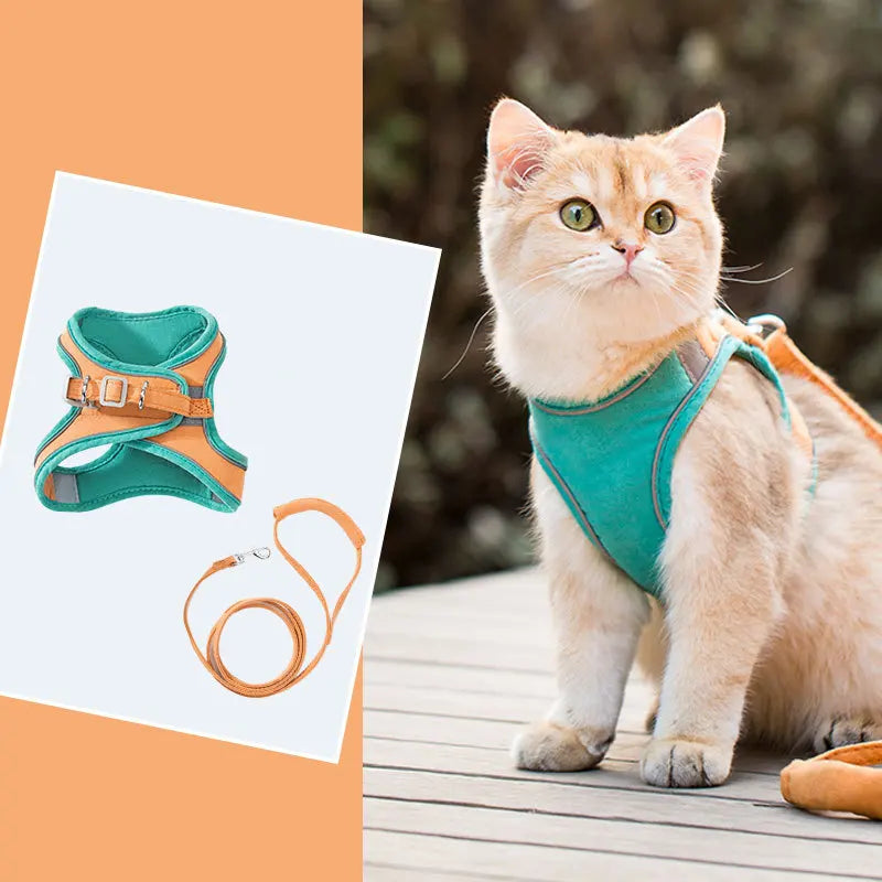 Cat Dog Noctilucent Harness with Lead Leash Adjustable Vest Polyester Mesh Breathable Harnesses Reflect Light Cat Accessories