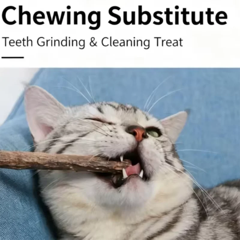 10/15/20 pcs/lot Cat Stick Pet Cat Molar Toys Natural Wood Polygonum Sticks Cleaning Teeth Relieve Boredom Snacks Chews Toys