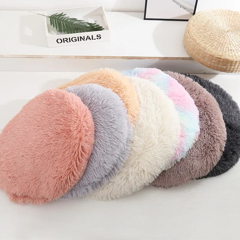 Multi Colored Optional Pet Pads, Cat Beds, Cat Beds, Pet Supplies, Pet Accessories