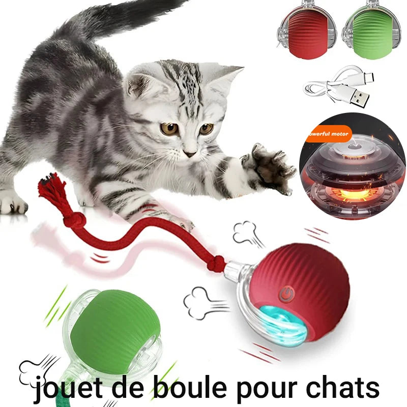 New Cat Interactive Ball Toy,Automatic Rolling Cat Ball Rechargeable,Smart Kitten Interactive Toy,Intelligent Balls Toy for Cat
