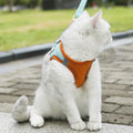 Cat Dog Noctilucent Harness with Lead Leash Adjustable Vest Polyester Mesh Breathable Harnesses Reflect Light Cat Accessories