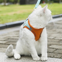 Cat Dog Noctilucent Harness with Lead Leash Adjustable Vest Polyester Mesh Breathable Harnesses Reflect Light Cat Accessories
