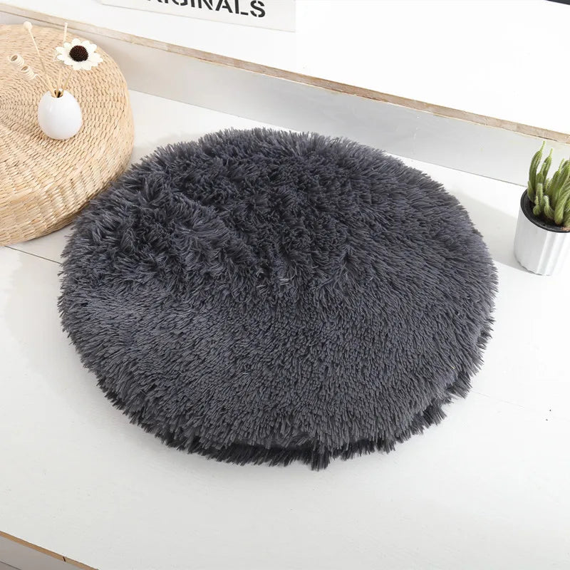 Multi Colored Optional Pet Pads, Cat Beds, Cat Beds, Pet Supplies, Pet Accessories