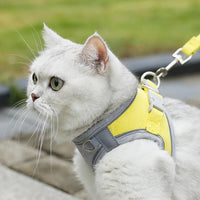 Cat Dog Noctilucent Harness with Lead Leash Adjustable Vest Polyester Mesh Breathable Harnesses Reflect Light Cat Accessories