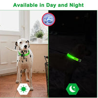 USB Rechargeable Luminous Collar Adjustable Led Glowing Dog Collar for Large Small Dogs Cat Night Light Collar Pet Safety Harnes