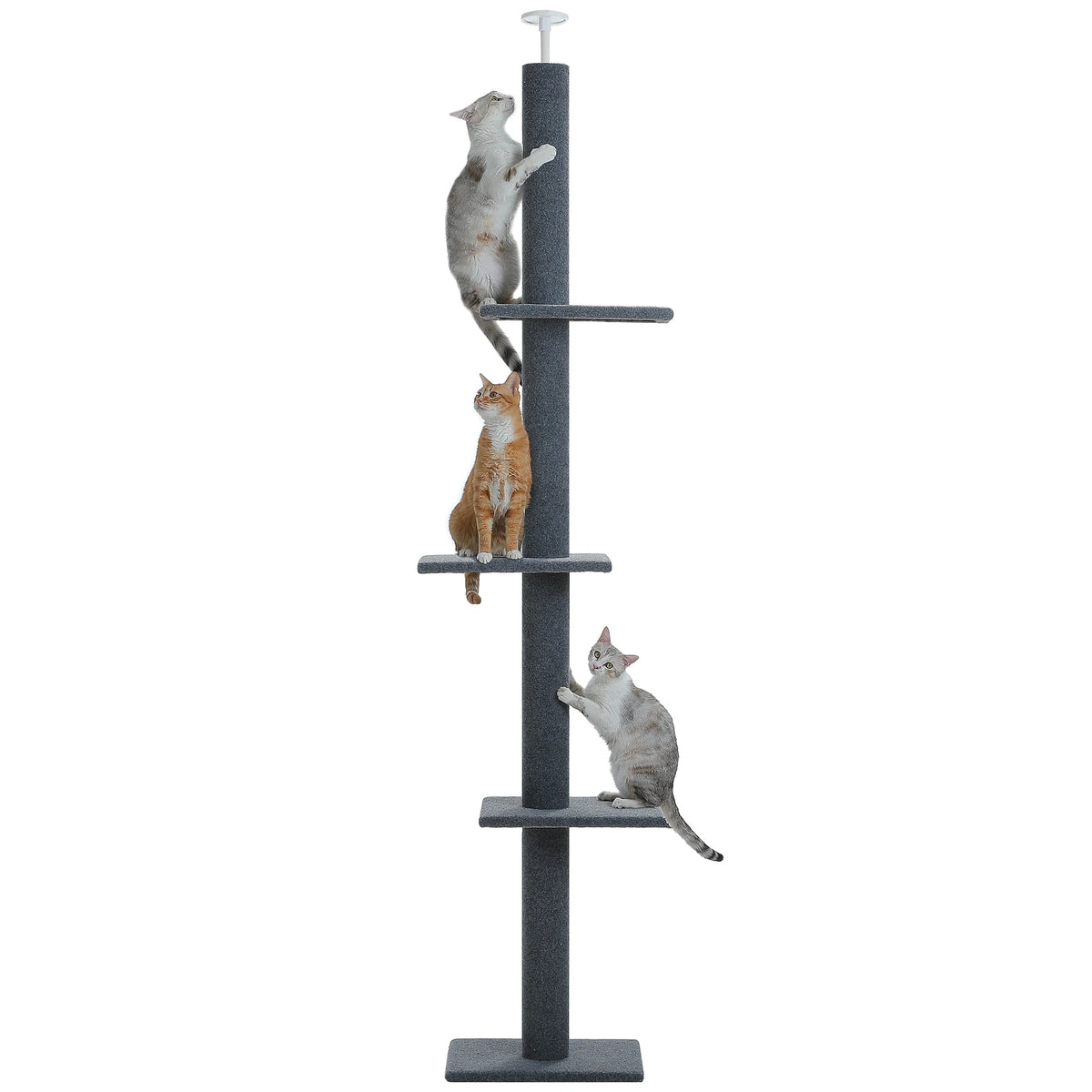 Adjustable Height Tall Cat Tree for Indoor Floor to Ceiling Cat Tower with Scratching Posts Cat Climbing Tree Scratcher Cat Toys