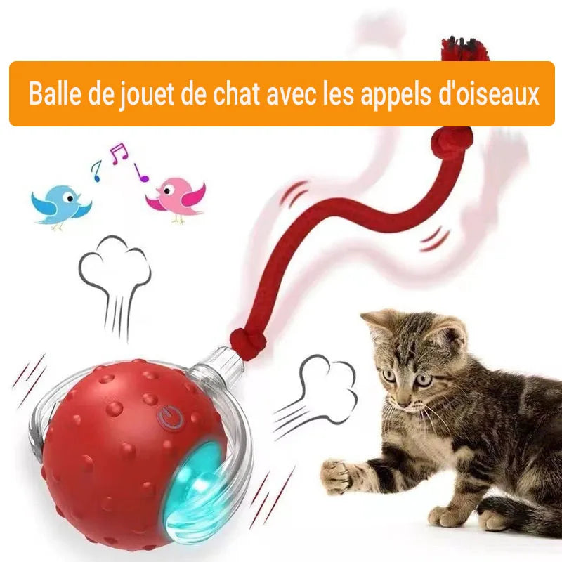 New Cat Interactive Ball Toy,Automatic Rolling Cat Ball Rechargeable,Smart Kitten Interactive Toy,Intelligent Balls Toy for Cat