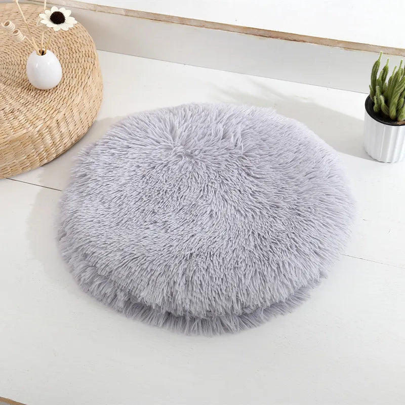 Multi Colored Optional Pet Pads, Cat Beds, Cat Beds, Pet Supplies, Pet Accessories