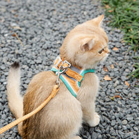 Cat Dog Noctilucent Harness with Lead Leash Adjustable Vest Polyester Mesh Breathable Harnesses Reflect Light Cat Accessories