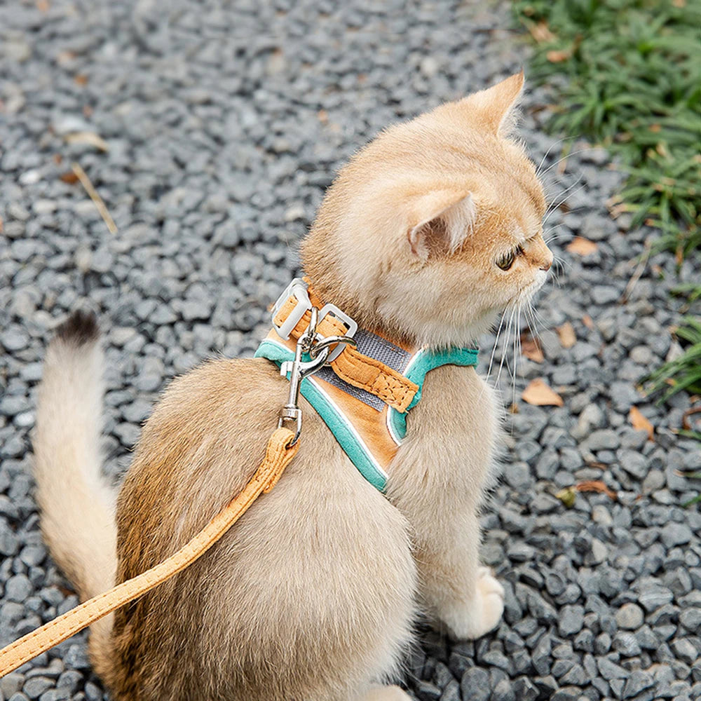 Cat Dog Noctilucent Harness with Lead Leash Adjustable Vest Polyester Mesh Breathable Harnesses Reflect Light Cat Accessories