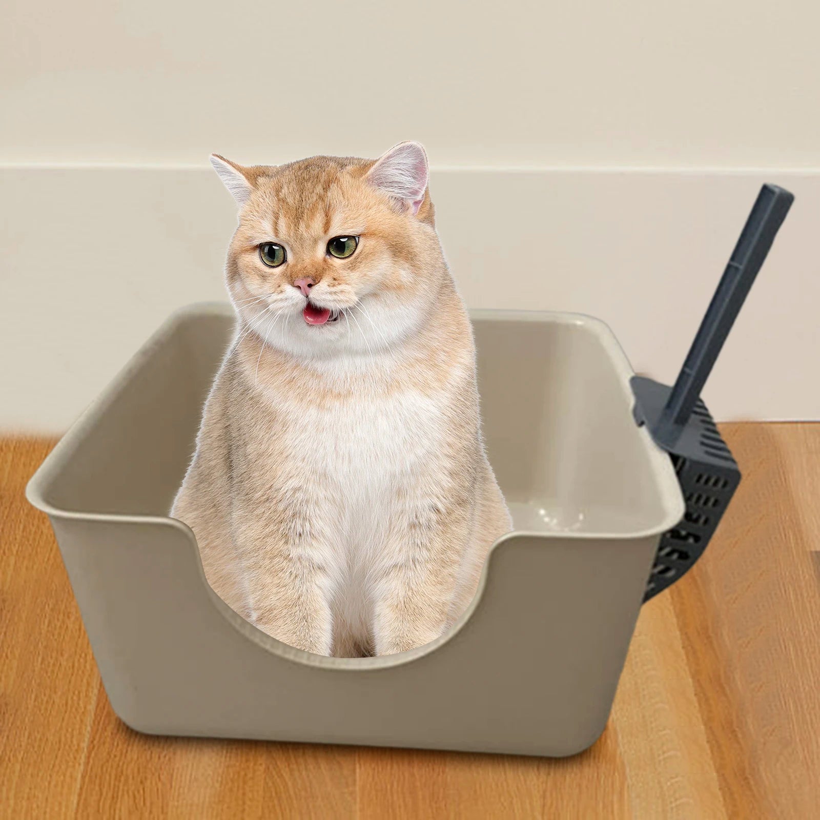 Open Top Pet Litter Tray Anti Splashing Cat Bedpan Cat Litter Box with High Side Kitty Litter Pan for Kitten Small Medium Cats