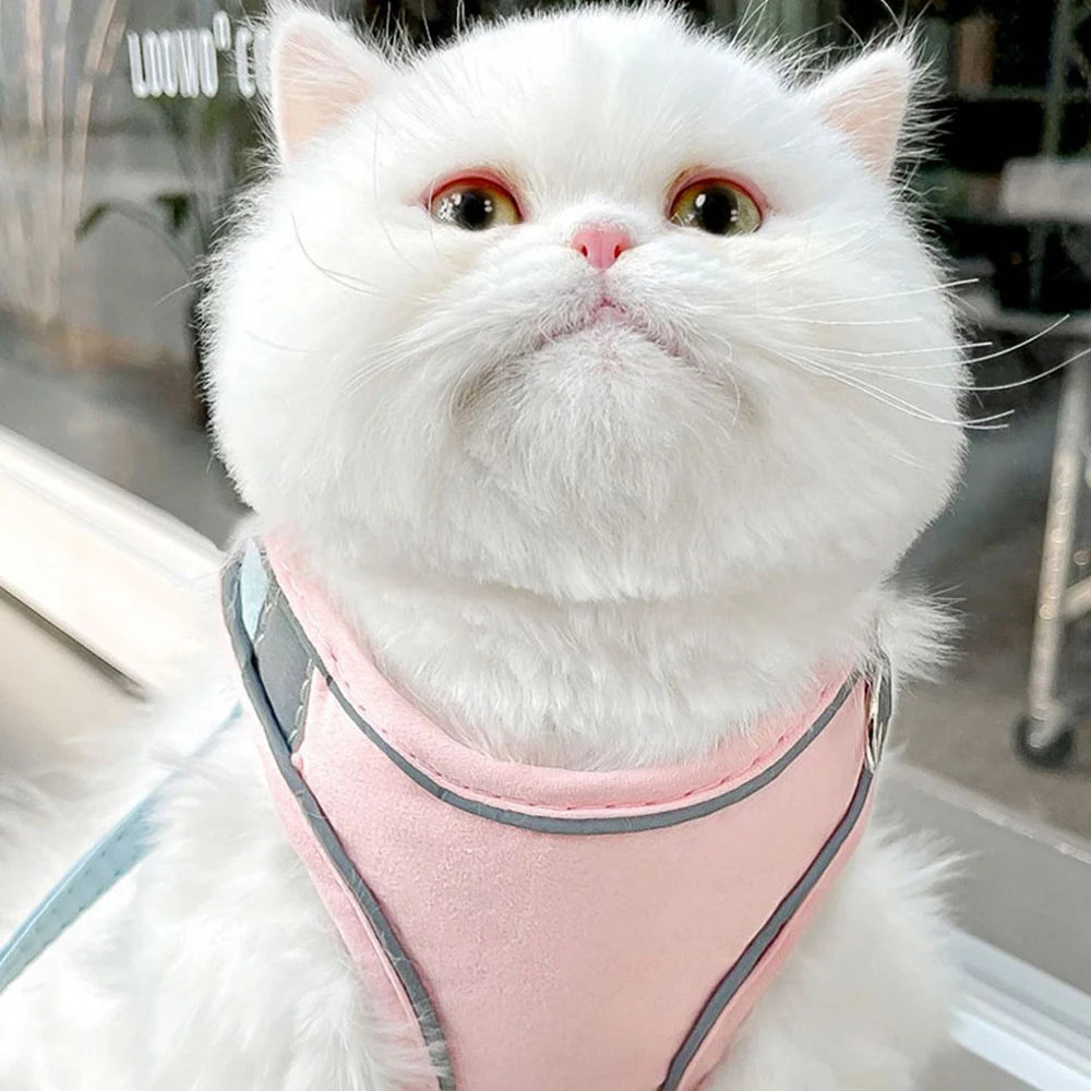 Cat Dog Noctilucent Harness with Lead Leash Adjustable Vest Polyester Mesh Breathable Harnesses Reflect Light Cat Accessories