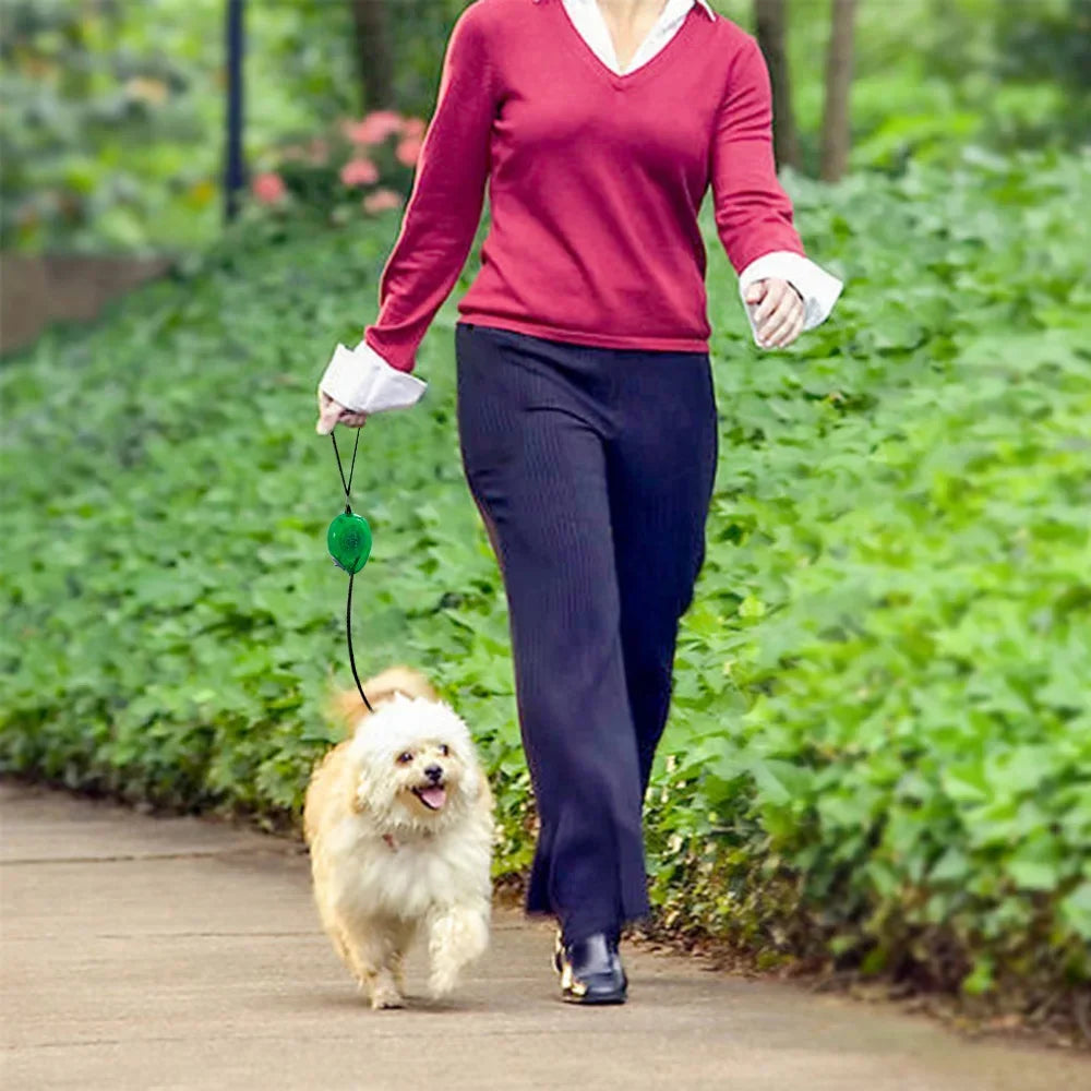 Retractable Nylon Dog Leash Automatic Extending Pet Leash Dog Walking Leads for Cats Puppy Small Dogs Chihuahua Yorkshire