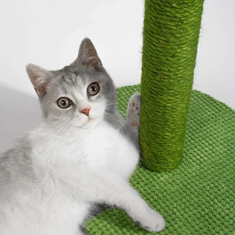 Cactus Cat Scratching Posts Sisal Rope Cat Scratcher Cactus Cats Interactive Toy Play for Grinding Claws Sharpener Pet Toys
