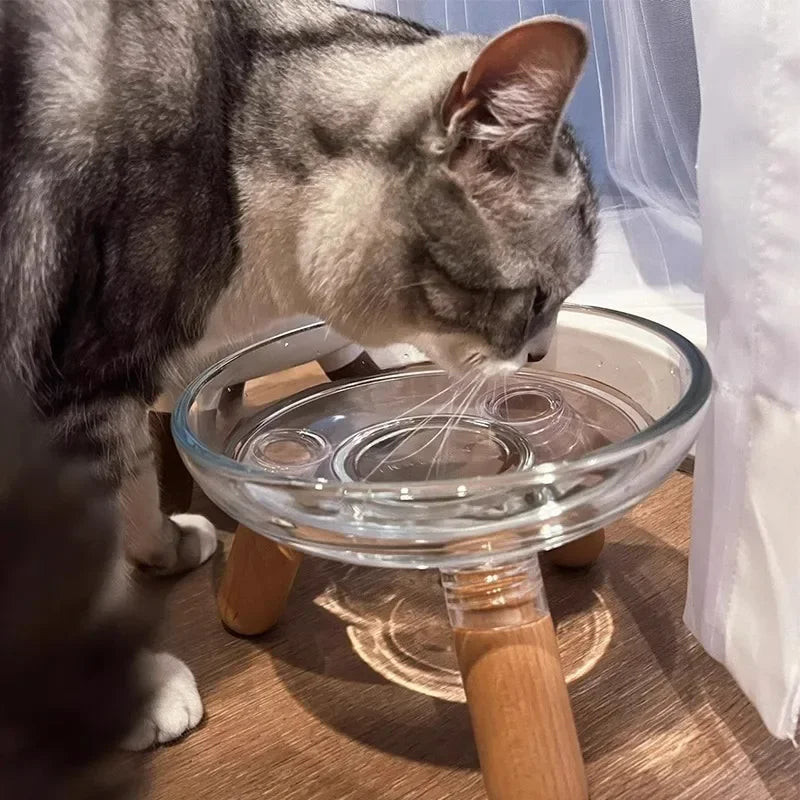 Non-Slip Pet Food Dish Cat Bowl Dog Bowl Elevated Pet Feeder with Neck Protection Plastic Water Basin for Cats Dogs