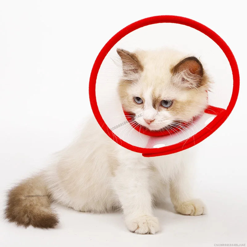 Pet Anti-Bite Lick Surgery Wound Healing Cat Dogs Health Medical Circle Pet Protective Collar Dog Neck Cone Recovery Collar