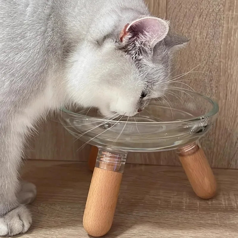 Non-Slip Pet Food Dish Cat Bowl Dog Bowl Elevated Pet Feeder with Neck Protection Plastic Water Basin for Cats Dogs