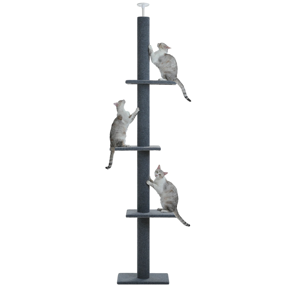 Adjustable Height Tall Cat Tree for Indoor Floor to Ceiling Cat Tower with Scratching Posts Cat Climbing Tree Scratcher Cat Toys