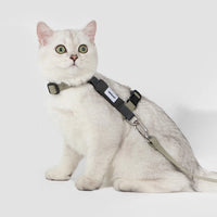 Cat Harness Leash Set Traction Rope Kitten Chest Strap Pet Outdoor Supplies for Pet Breathable Harness Leash Puppy Cat Vest
