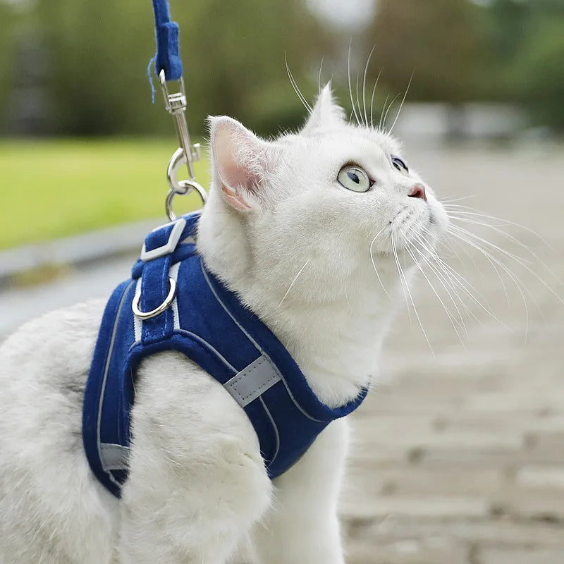 Cat Dog Noctilucent Harness with Lead Leash Adjustable Vest Polyester Mesh Breathable Harnesses Reflect Light Cat Accessories